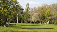Wald